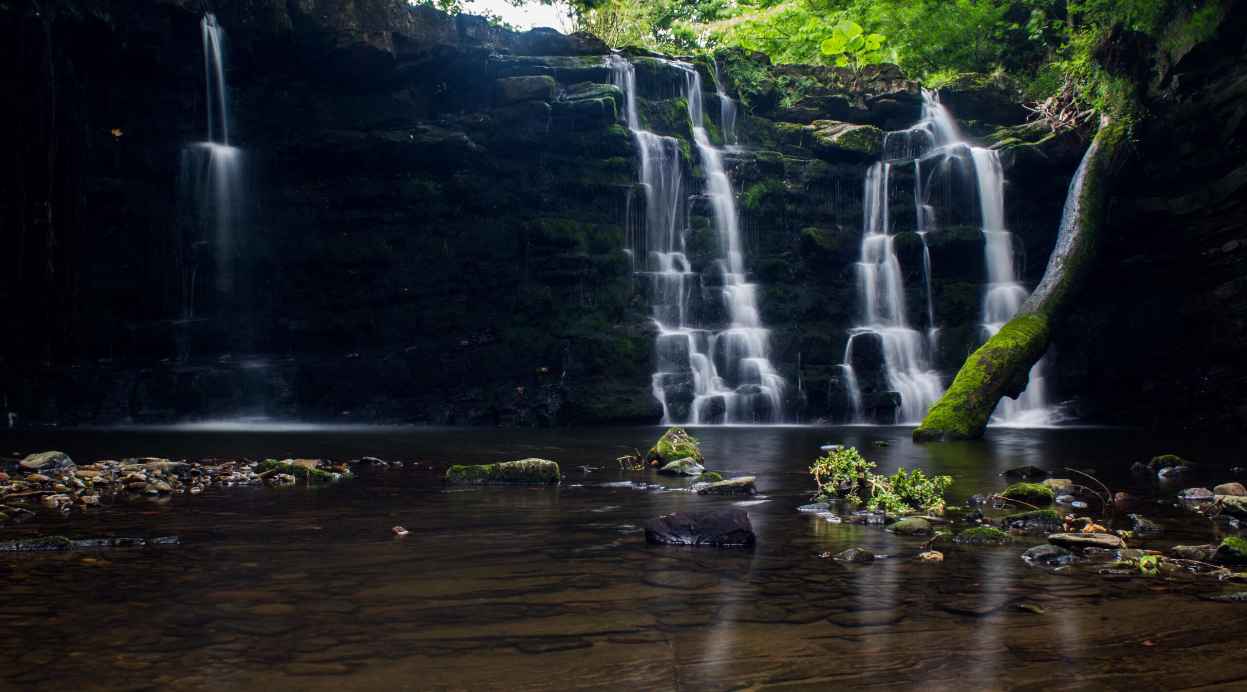 Forest of Bowland 