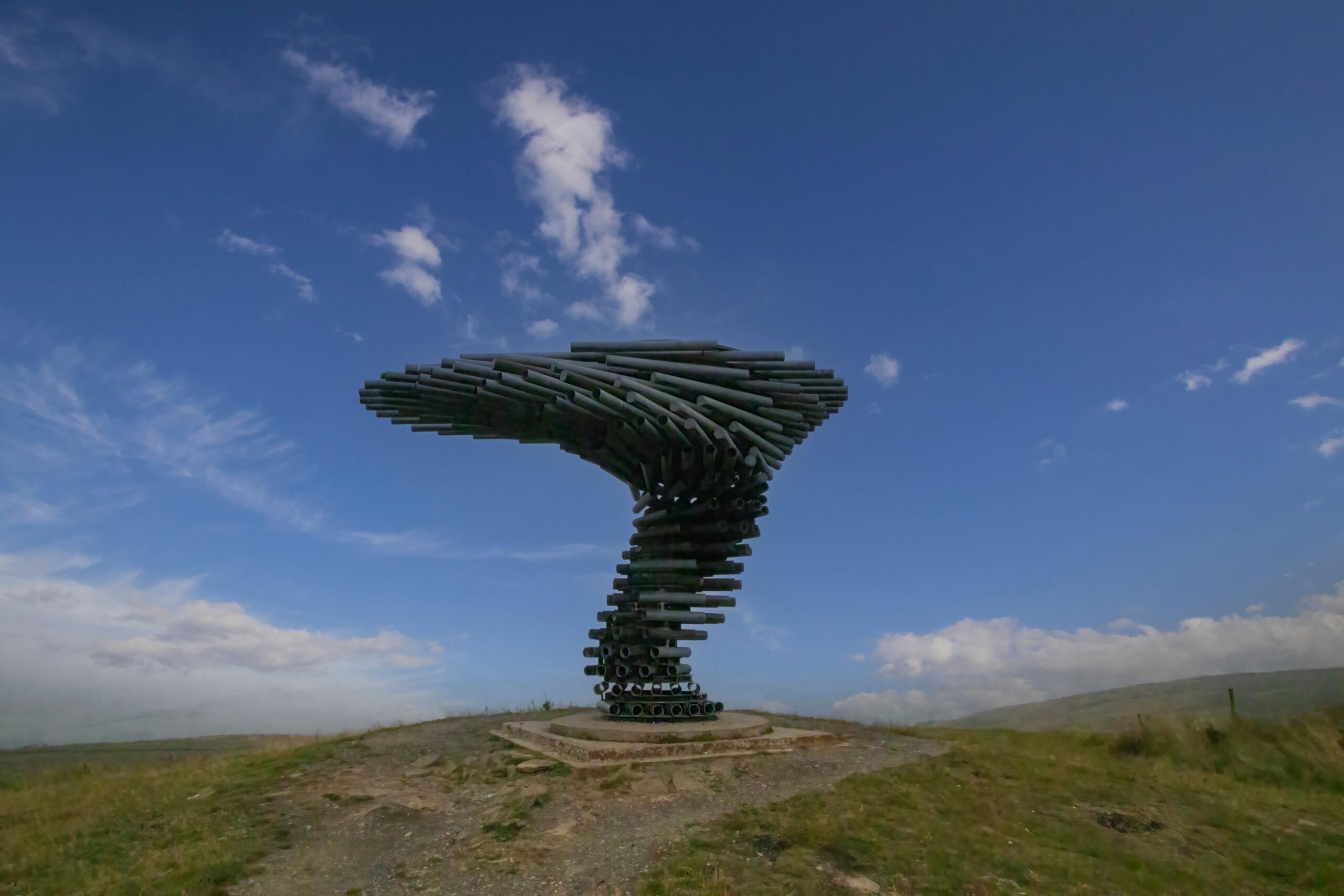 ringing singing tree in lancashire scaled