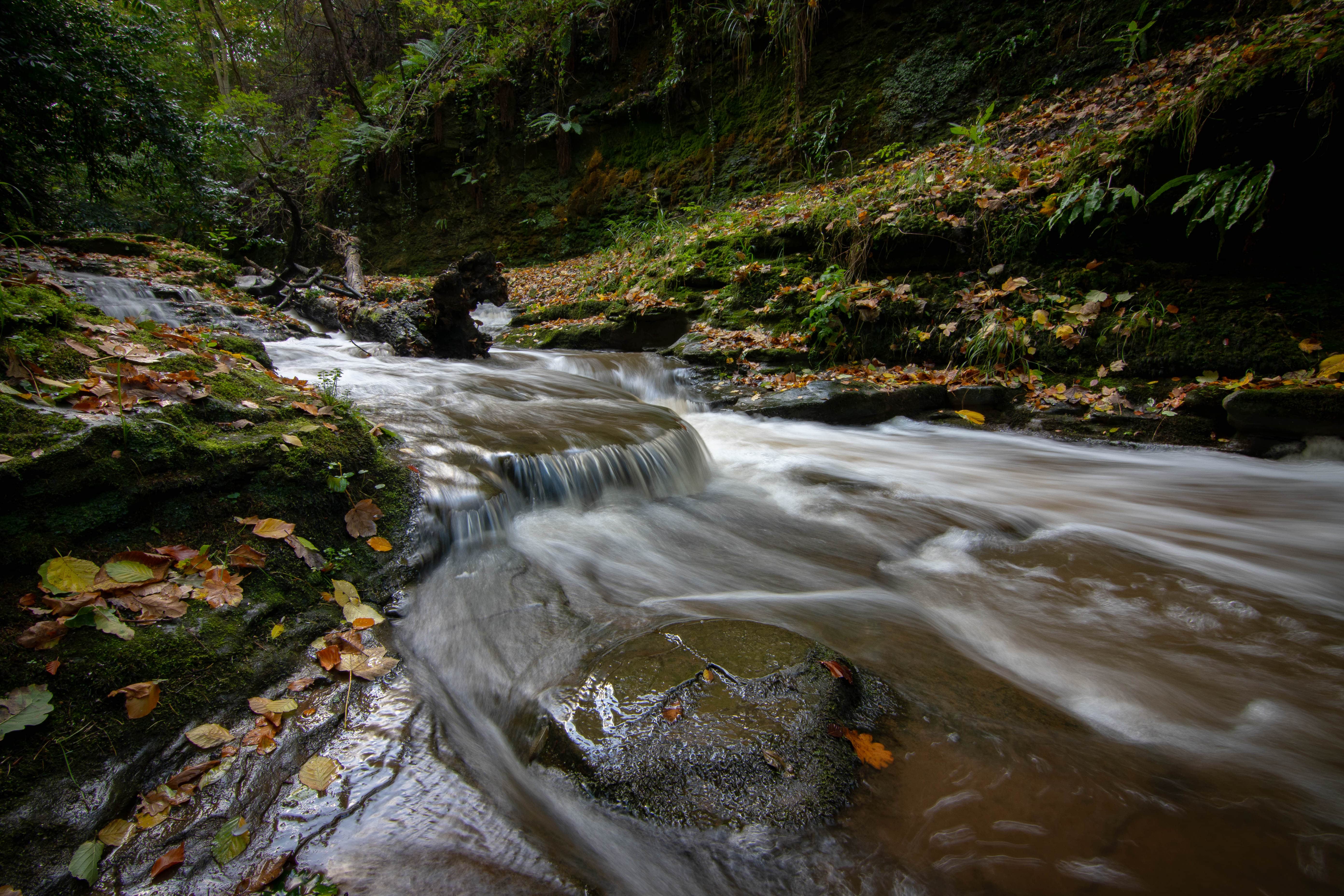 Skelton Beck